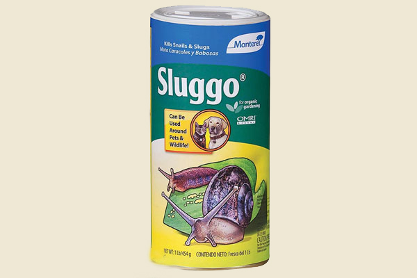 Sluggo